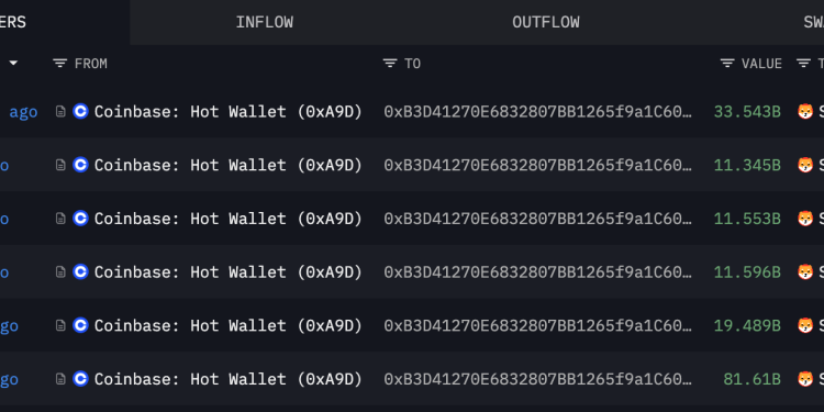 Shiba Inu Price Prediction: Mysterious Whale Empties Coinbase Wallet – Massive Bull Market About to Start? 