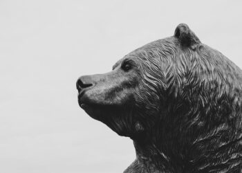 Bitcoin Bearish Signals Are ‘Hard To Ignore’, Analyst Warns