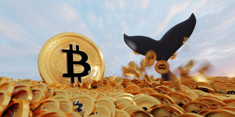 Dormant Silk Road Wallets Spring to Life, Moving Millions in Bitcoin