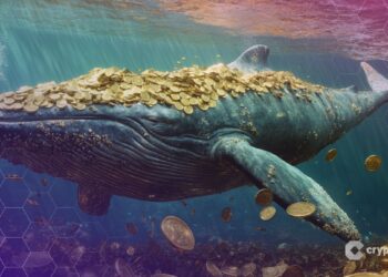 Asset Manager SkyBridge Prepares For Choppy Markets, Keeps Faith In Bitcoin