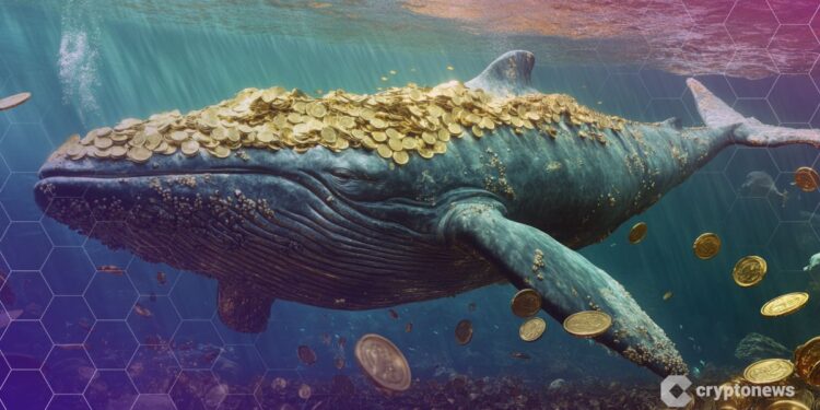 Asset Manager SkyBridge Prepares For Choppy Markets, Keeps Faith In Bitcoin