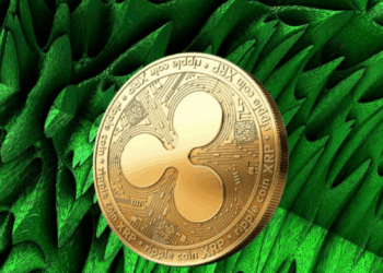 Something Big Is Brewing In XRP DeFi—And 91 Million Tokens Tell The Story