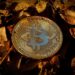 Bitcoin Emerges As A Hedge Amid Rising Global Geopolitical Tensions