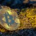 Analyst Outlines The Bulllish And Bearish Scenarios For Bitcoin