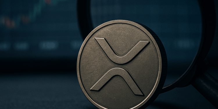 Expert Says XRP ‘Haters’ Miss The Bigger Picture: What It Is