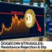 Dogecoin (DOGE) Meets Resistance and Hesitates, Market Tone Changes