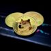 Here’s The Dogecoin Resistance Level That Is Stalling A 402% Move