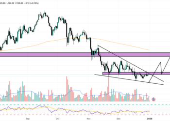Solana Price Prediction: Mysterious Whale Wallets Are Buying Up Solana Coins – Is Big News Coming for 2026?
