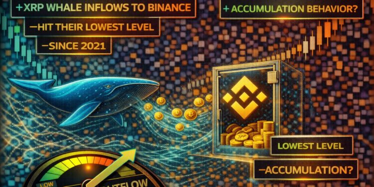 XRP Whale Inflows To Binance Hit Their Lowest Level Since 2021: Accumulation Behavior?