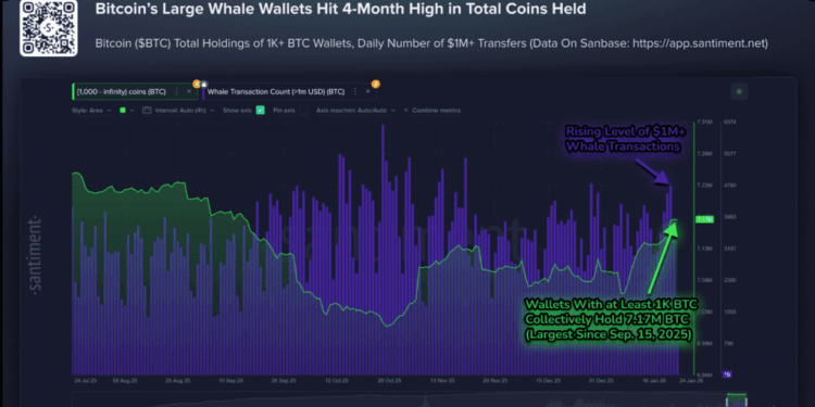 104K BTC Added As $1M Transfers Surge