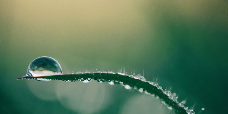 Sui Restores Service After Major 6-Hour Outage Shook Network