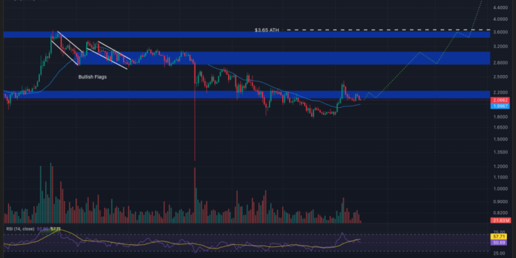 Best Crypto to Buy Now January 16 – XRP, Shiba Inu, Bonk