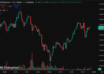 Crypto Fundamentals Hit Records in Q4 2025 as Prices Lagged