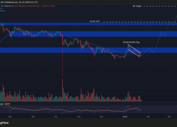 Best Crypto to Buy Now January 23 – XRP, Dogecoin, PEPE