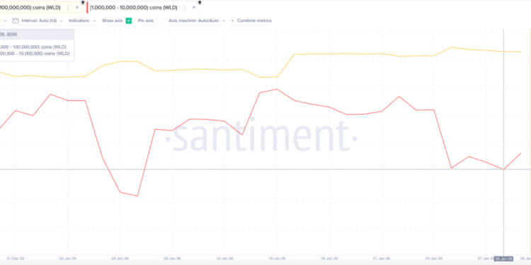 Worldcoin Price Prediction: Up 50% in Days as OpenAI Buzz Explodes – Is a Violent Second Pump About to Hit?