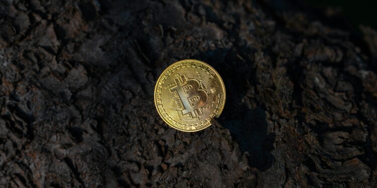 Bitcoin Should Be Flying—Instead, Quantum Keeps It Grounded