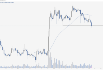 XRP Tops All Assets On Risk/Reward, Analyst Says