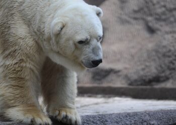 Crypto Set For Big Shakeups, Consolidation Expected: CEO