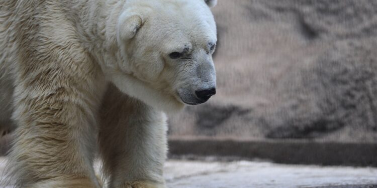 Crypto Set For Big Shakeups, Consolidation Expected: CEO