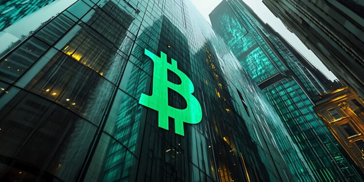 Bitcoin Adoption Surged in 2025 Despite 50% Price Pullback