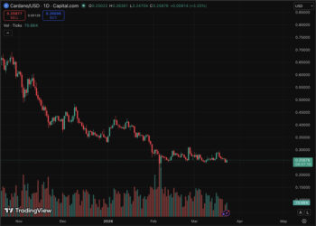 Cardano Price Prediction: Hard Fork and Expectations