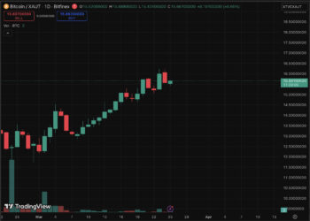 BTC USD Price Outlook: Bitcoin Resurgence and Gold Losing Streak