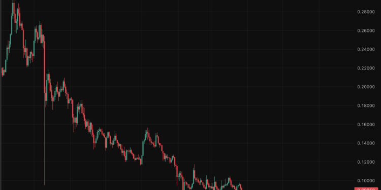 DOGE Price Prediction: Big Holders Accumulate, Elon Musk?