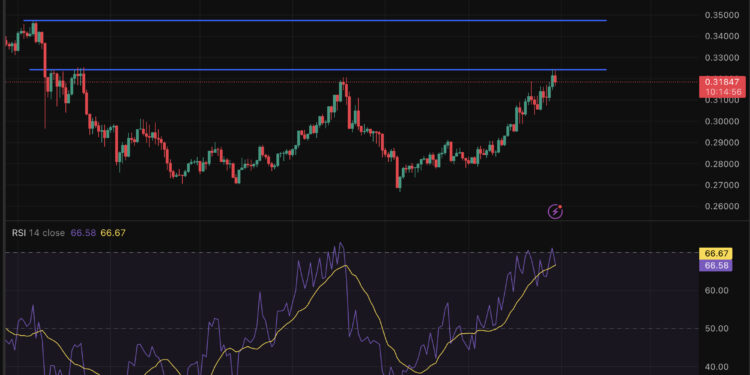 Tron Crypto Prediction: TRX USD Stable as Market Recover