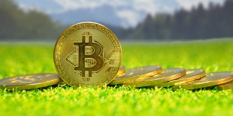 Bitcoin At The Bottom? The 23-Month Cycle That Has Never Failed