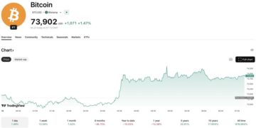 Why Is Crypto Up: BTC USD Decoupling From Gold Amid Heated Israel-Iran War