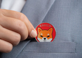 How Much Will Shiba Inu Price Be If Dogecoin Hits $10?