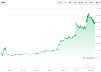 WBT Did a Quiet 15X While Everyone Was Watching Meme Coins