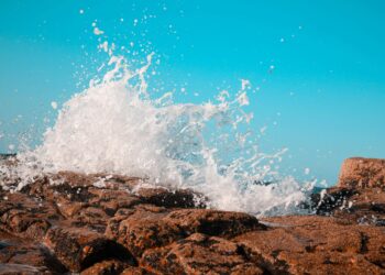 More Than 40% Of Altcoins Are Hitting Rock Bottom