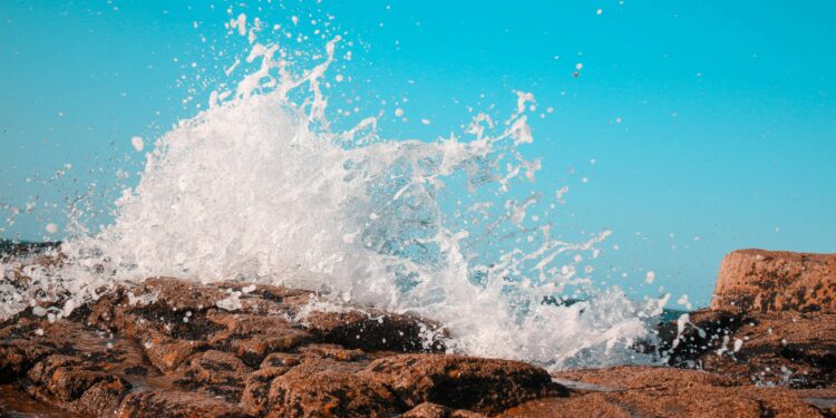 More Than 40% Of Altcoins Are Hitting Rock Bottom