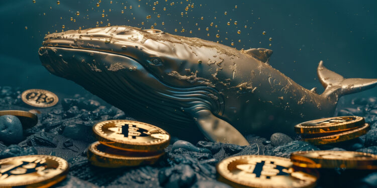 Ancient Bitcoin Whales Move Millions as Middle East Tensions Shake Markets