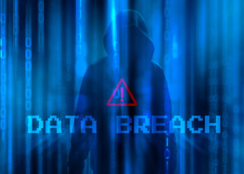 Fake “Pudgy World” Site Lures Gamers Into Handing Over Crypto Wallet Passwords