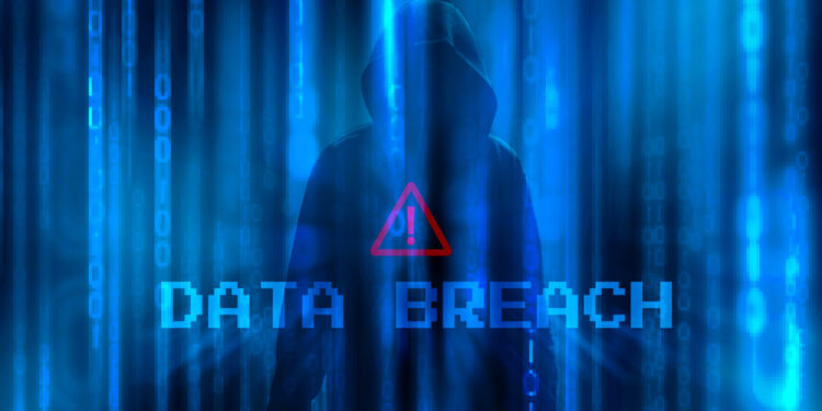 Fake “Pudgy World” Site Lures Gamers Into Handing Over Crypto Wallet Passwords