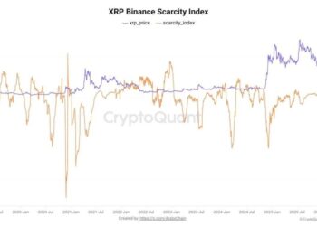 XRP Crypto Holders Pull Coins Off Exchanges, On-Chain Data Signals Supply Shock