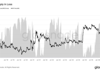 XRP Price Prediction: Whales Just Bought 210 Million Tokens – Is a Big Update Coming?