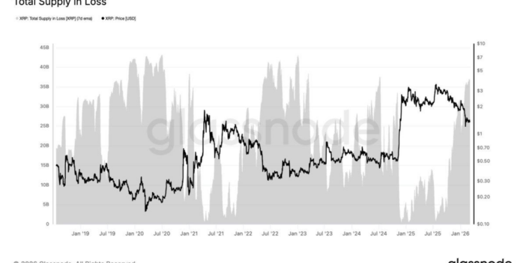 XRP Price Prediction: Whales Just Bought 210 Million Tokens – Is a Big Update Coming?