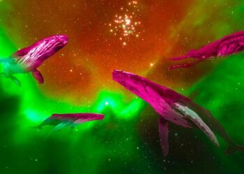 Bitcoin Holds Firm Despite $271M Sell-Off From Long-Term Whales