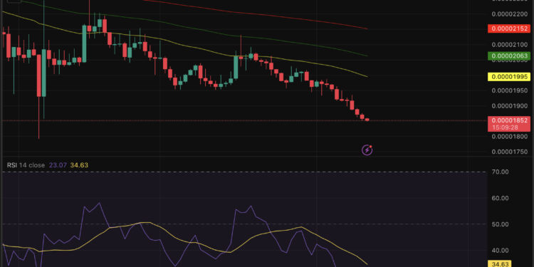 XRP Price Prediction: Bottom Signals Flashing, Good Time to Scoop?