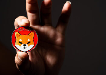 Recent Developments Show Why The Shiba Inu Price Keeps Crashing