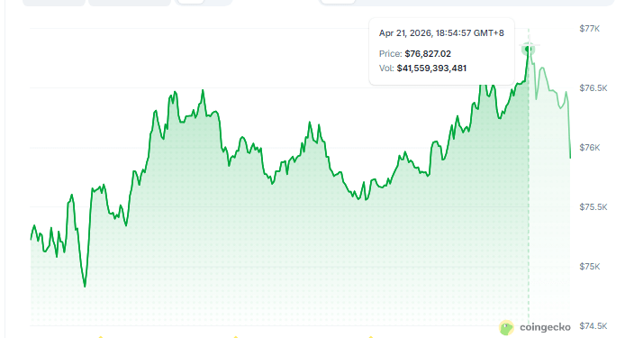 Is Bitcoin Riding the Ceasefire Rally Wave?