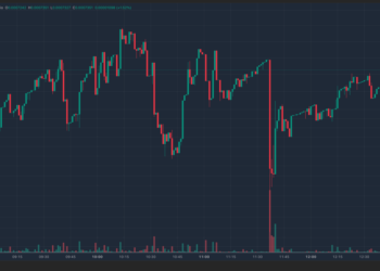 What Is Russian Oil Asset Reserve? Is ROAR Crypto The Next Big Thing Or Scam?