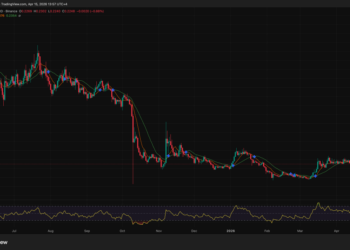 Crypto Whales Just Accumulated 100 Million FET Crypto: So Why Is the Price Still Falling?