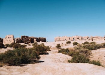 Uzbekistan Lures Global Crypto Mining with 10-Year Tax Holiday in New Special Zone