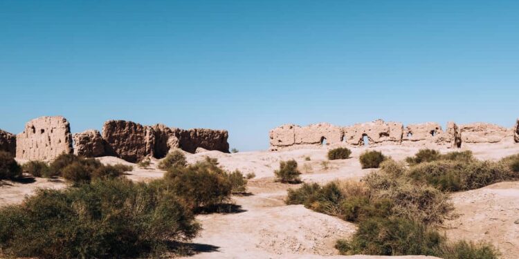 Uzbekistan Lures Global Crypto Mining with 10-Year Tax Holiday in New Special Zone