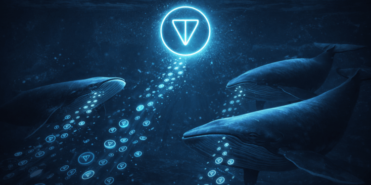 Top Toncoin Whales Silently Accumulate 189,730 TON Despite Market Weakness