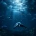Bitcoin Whales Dump Holdings as Profit-Taking Signals Flash Warning Signs